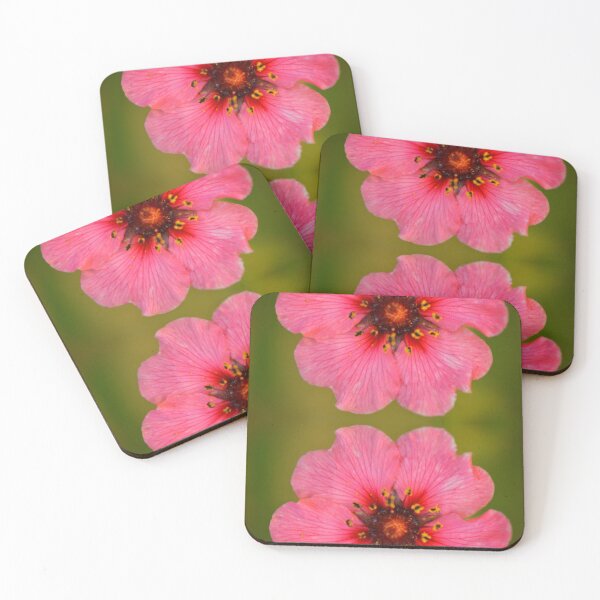 Item preview, Pink Blossom Duo designed and sold by SilentBloomLab.