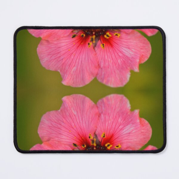 Item preview, Pink Blossom Duo designed and sold by SilentBloomLab.