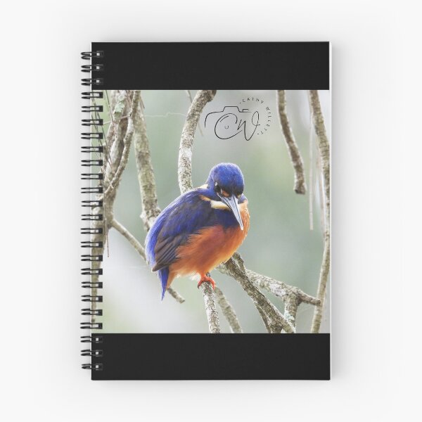 Item preview, Azure Kingfisher designed and sold by CathsImages.