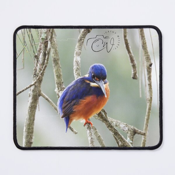 Item preview, Azure Kingfisher designed and sold by CathsImages.
