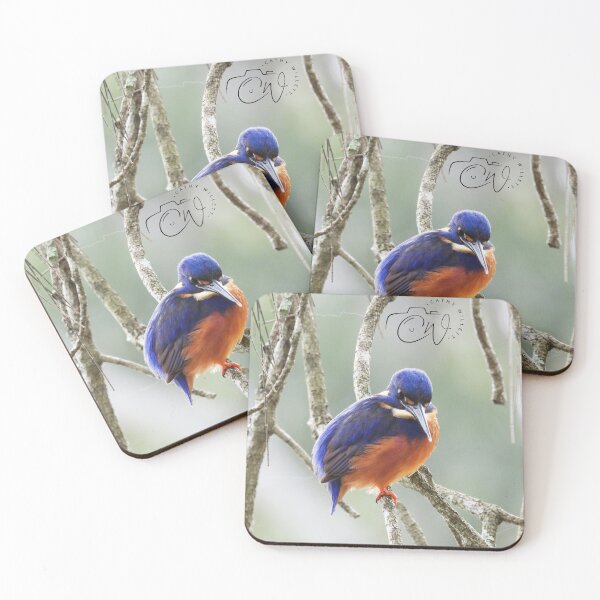 Item preview, Azure Kingfisher designed and sold by CathsImages.