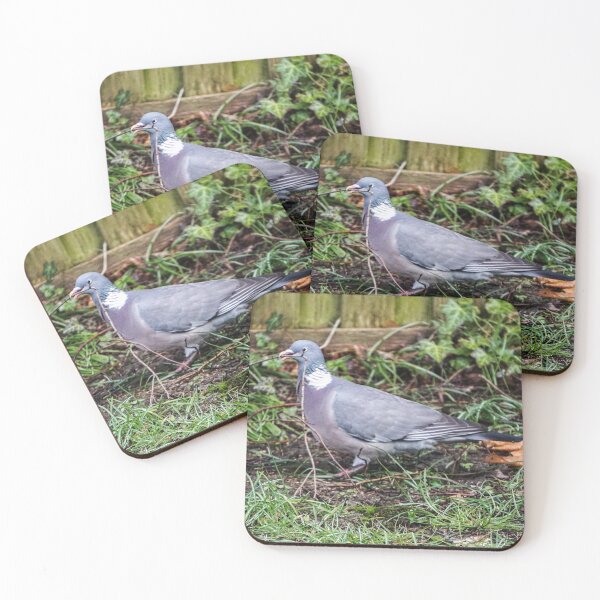 Item preview, Wood Pigeon Collecting Nest Material designed and sold by pigeonlovrs.