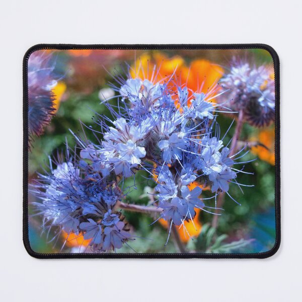 Item preview, Vibrant Purple Phacelia Flowers in Trentham Gardens designed and sold by treasacustoms.