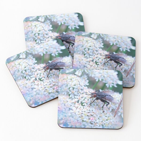 Item preview, Fly on White Flowers designed and sold by treasacustoms.