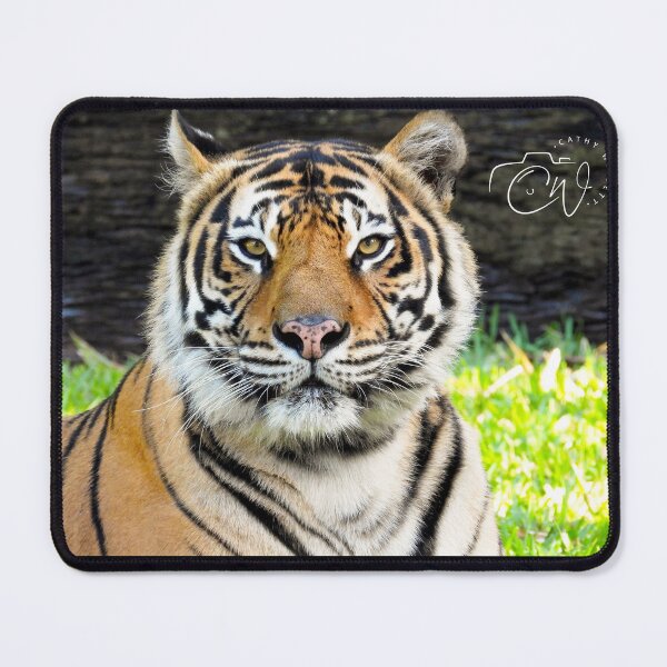 Item preview, Bengal Tiger designed and sold by CathsImages.