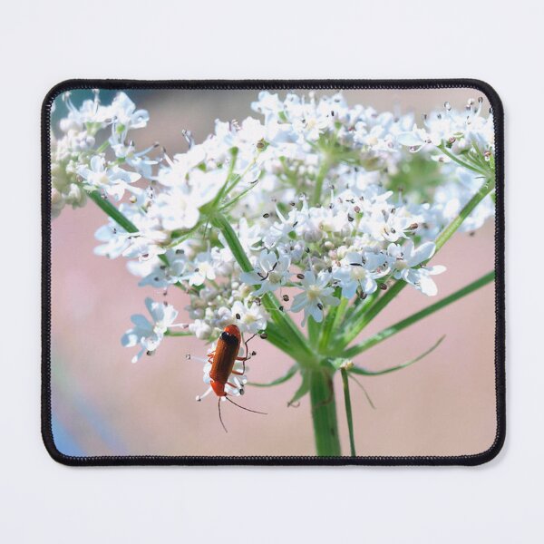 Item preview, Small Red Beetle on White Flowers designed and sold by treasacustoms.