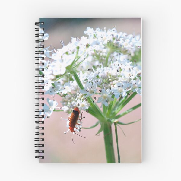 Item preview, Small Red Beetle on White Flowers designed and sold by treasacustoms.
