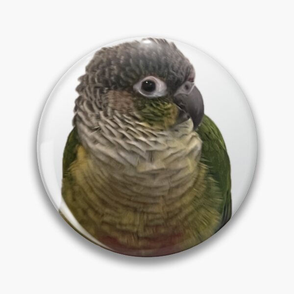 Item preview, Green Cheek Conure designed and sold by Open Tab Archive.