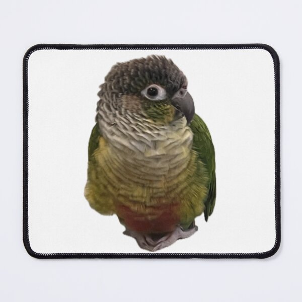 Item preview, Green Cheek Conure designed and sold by Open Tab Archive.