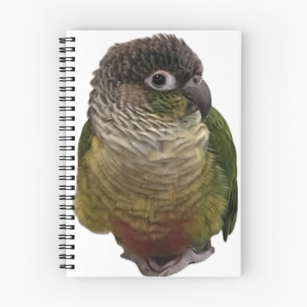 Artikelvorschau, Green Cheek Conure entworfen und verkauft von Open Tab Archive.