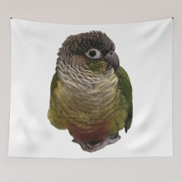 Item preview, Green Cheek Conure designed and sold by Open Tab Archive.