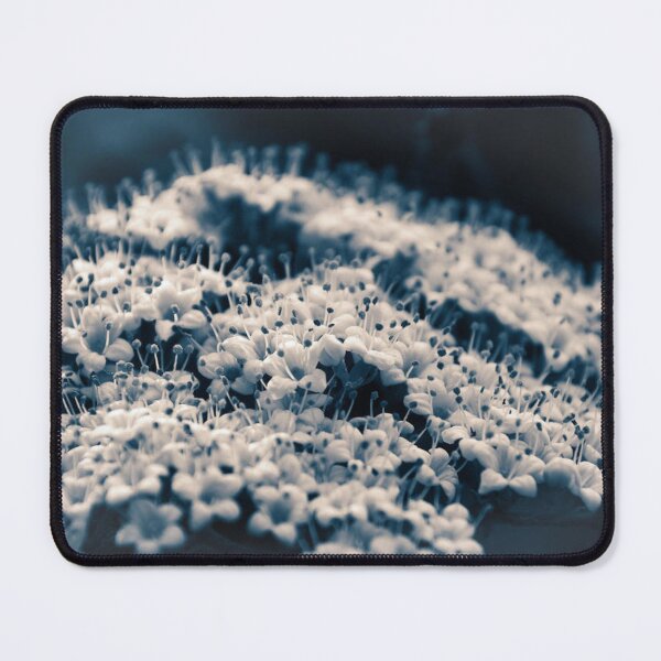 Item preview, Macro Photography of Delicate White Flowers designed and sold by sheryllcreators.
