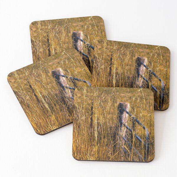 Item preview, Behind A Golden Veil designed and sold by Jim Love.