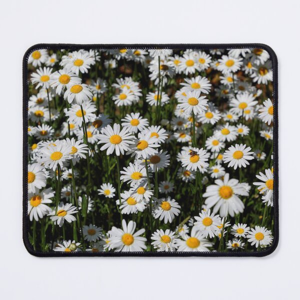 Item preview, Field of Beautiful White Daisies designed and sold by sheryllcreators.