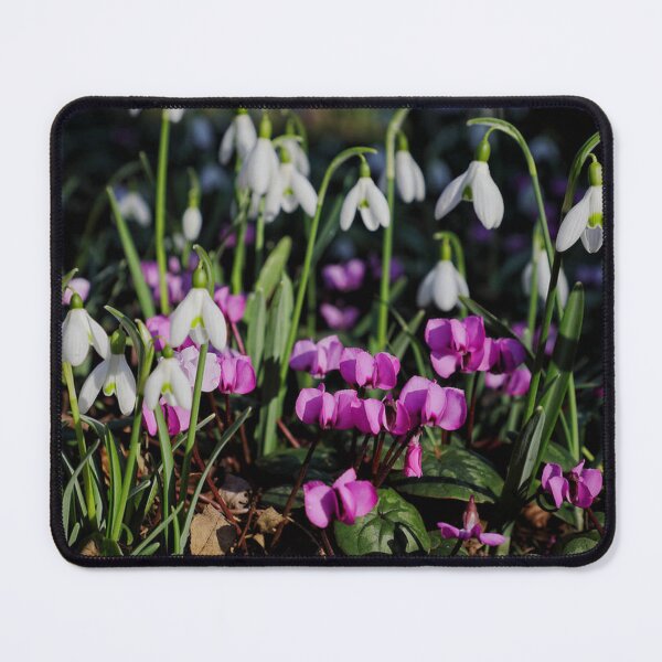 Item preview, Hermosas campanillas de invierno y flores de ciclamen en primavera. designed and sold by sheryllcreators.