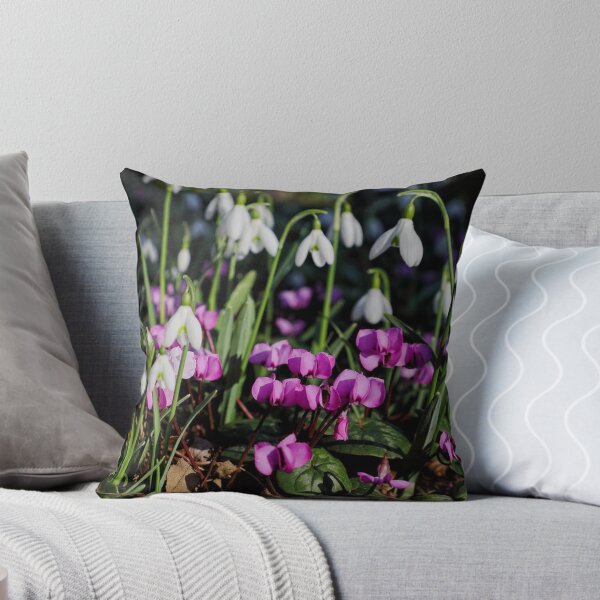 Aperçu de l'œuvre Magnifiques perce-neige et cyclamens en fleurs au printemps créée et vendue par sheryllcreators.