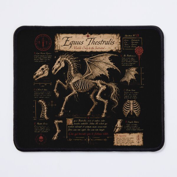 Item preview, Equus Thestralis Anatomy designed and sold by agearb.