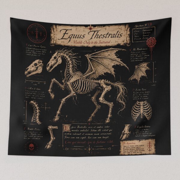 Item preview, Equus Thestralis Anatomy designed and sold by agearb.