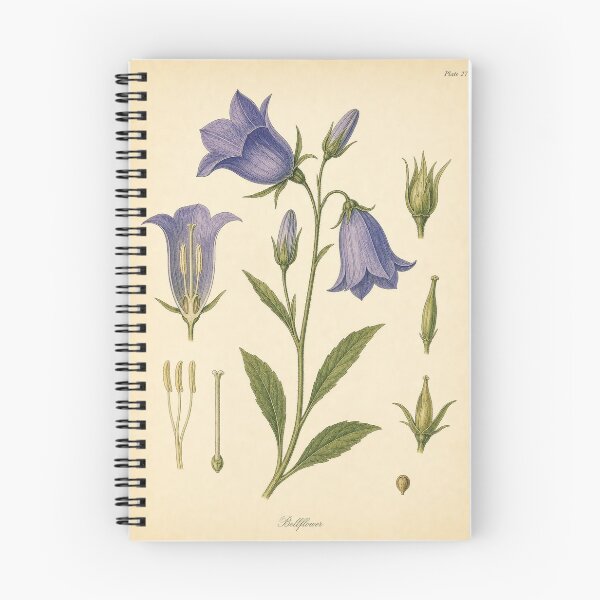 Item preview, Antique Bluebell Botanical Plate Illustration designed and sold by NuvoraNest.