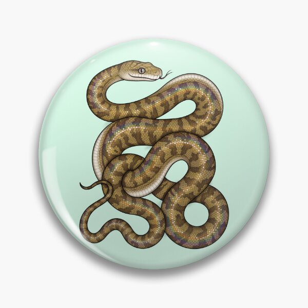 Item preview, Scrub Python (Simalia kinghorni) designed and sold by miss-varanus.