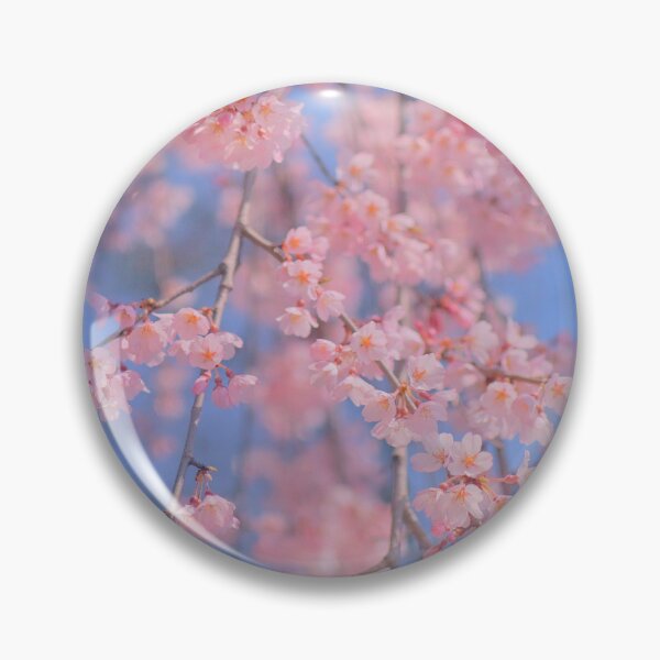 Artikelvorschau, pastel sakura pink cherry blossom blue sky entworfen und verkauft von Mypixieart.