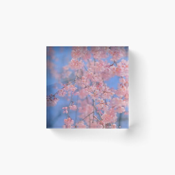 Item preview, pastel sakura pink cherry blossom blue sky designed and sold by Mypixieart.