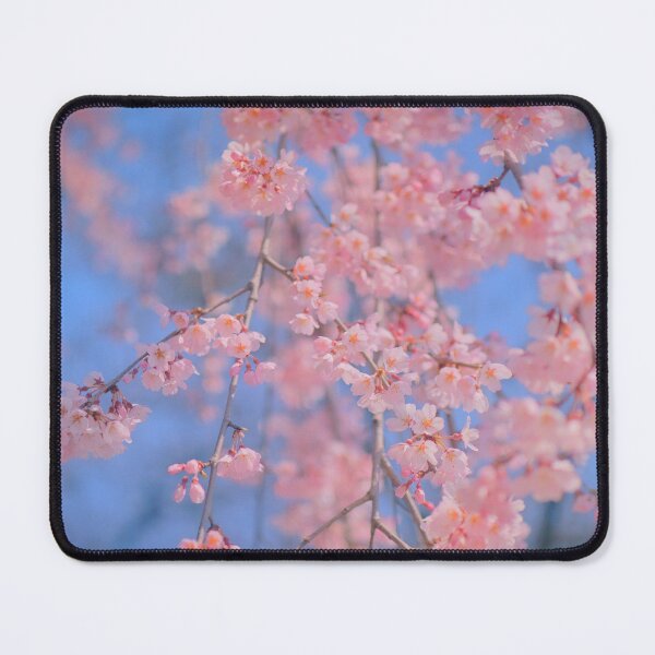 Item preview, pastel sakura pink cherry blossom blue sky designed and sold by Mypixieart.