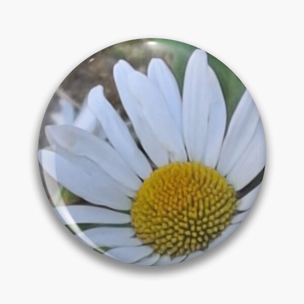Artikelvorschau, Daisy auf der Daisy Lane entworfen und verkauft von Daisy Lane Gifts UK.