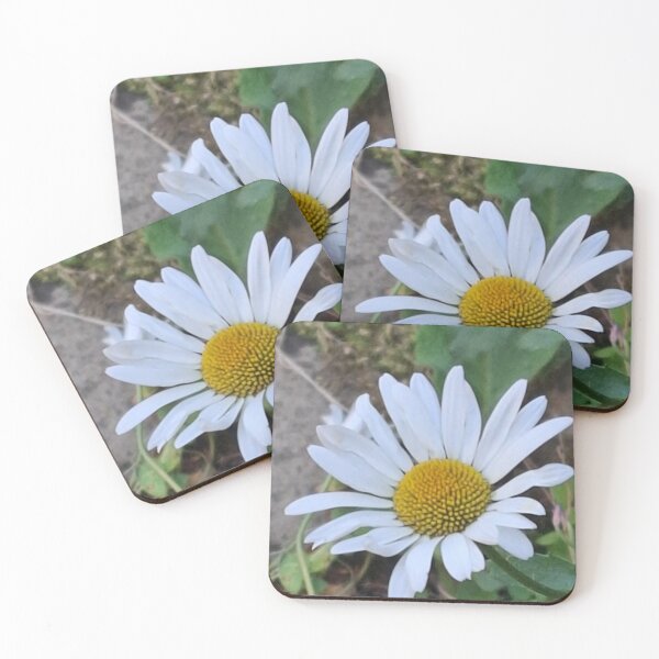 Aperçu de l'œuvre Daisy sur Daisy Lane créée et vendue par Daisy Lane Gifts UK.