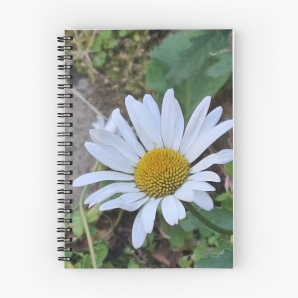 Item preview, Daisy on Daisy Lane designed and sold by Daisy Lane Gifts UK.