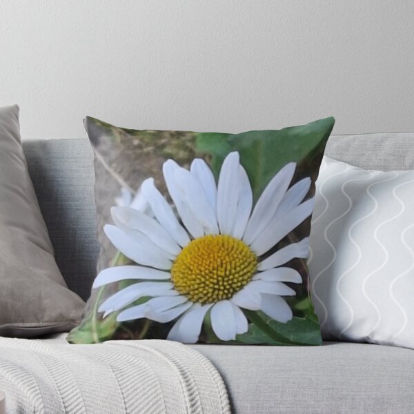 Item preview, Daisy on Daisy Lane designed and sold by Daisy Lane Gifts UK.