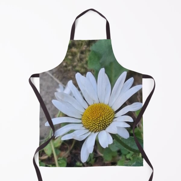 Artikelvorschau, Daisy auf der Daisy Lane entworfen und verkauft von Daisy Lane Gifts UK.