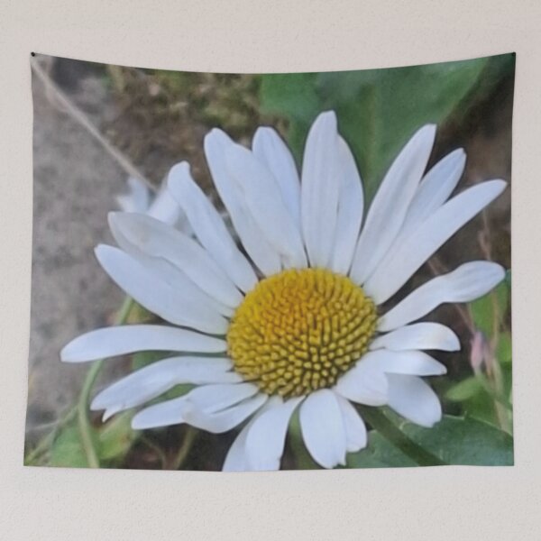 Item preview, Daisy en Daisy Lane designed and sold by Daisy Lane Gifts UK.