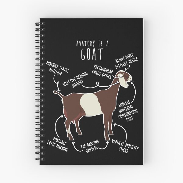 Item preview, Anglo-Nubian Goat Anatomy designed and sold by Clara Hollins.