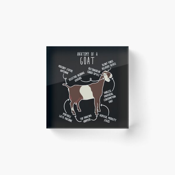 Item preview, Anglo-Nubian Goat Anatomy designed and sold by Clara Hollins.