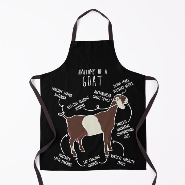 Item preview, Anglo-Nubian Goat Anatomy designed and sold by Clara Hollins.