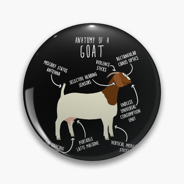 Item preview, Boer Goat Anatomy designed and sold by Clara Hollins.