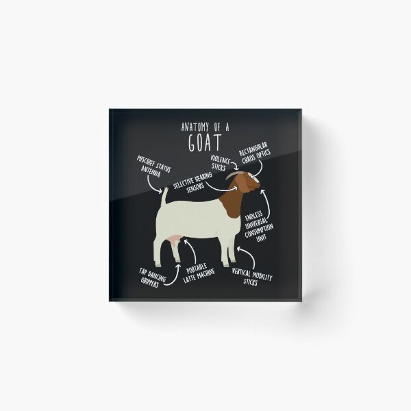 Item preview, Boer Goat Anatomy designed and sold by Clara Hollins.
