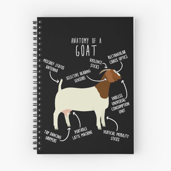 Item preview, Boer Goat Anatomy designed and sold by Clara Hollins.