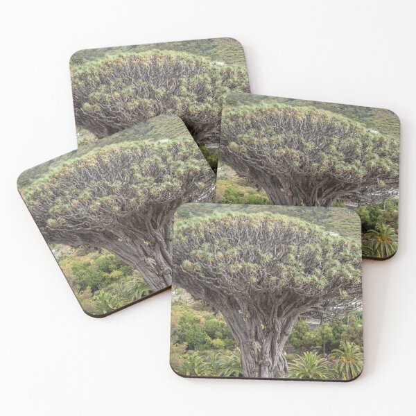 Item preview, Ancient Dragon Tree, Tenerife designed and sold by twymanphoto.