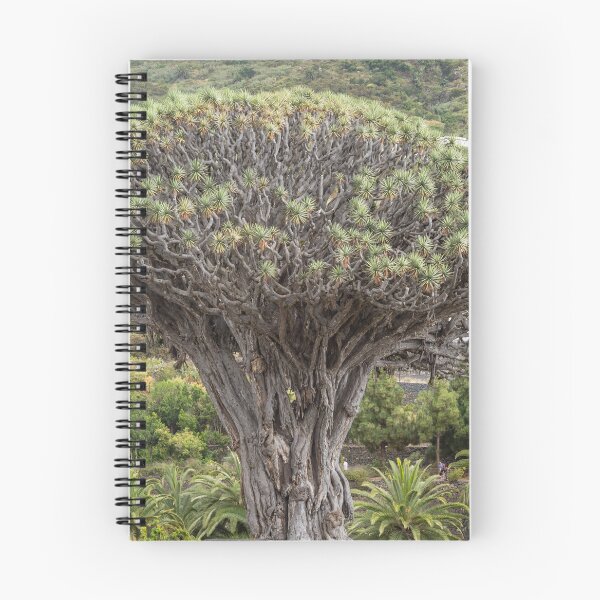 Item preview, Ancient Dragon Tree, Tenerife designed and sold by twymanphoto.
