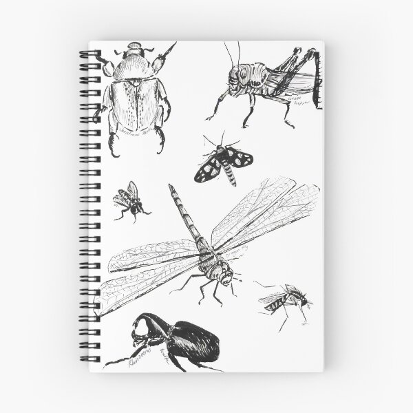 Item preview, Hand-Drawn Insect Collection – Natural Line Art designed and sold by ArtwithKellie.