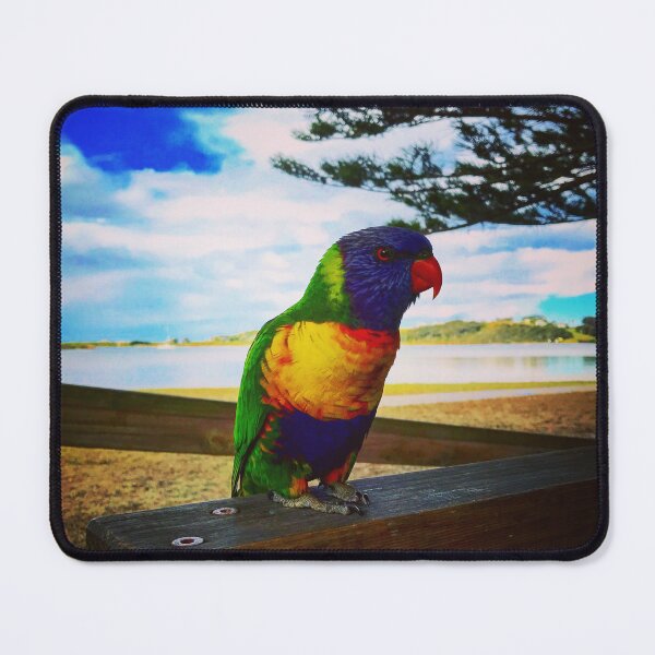 Item preview, Parrot designed and sold by Jeffingfun.