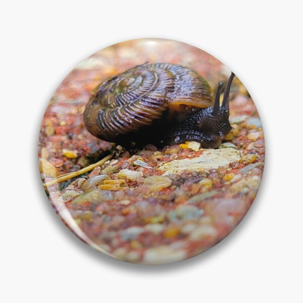 Item preview, Everyone is on their own journey  designed and sold by Lunar Bound Imagery .