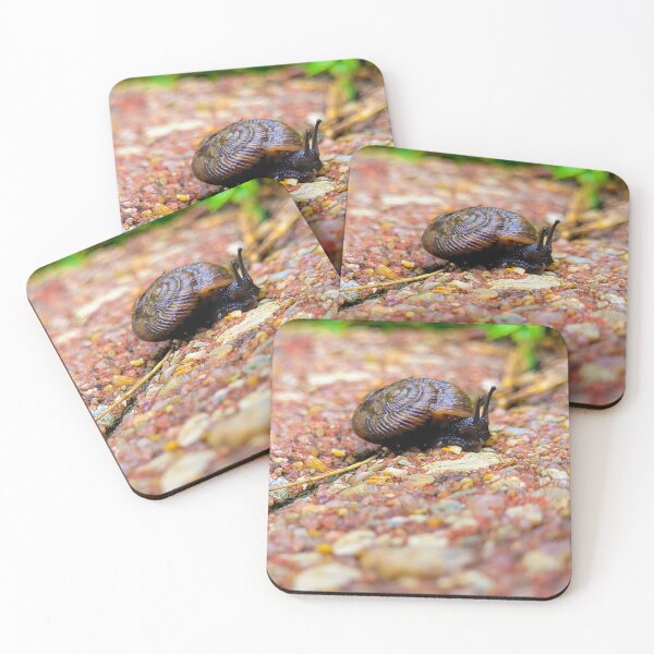 Item preview, Everyone is on their own journey  designed and sold by Lunar Bound Imagery .