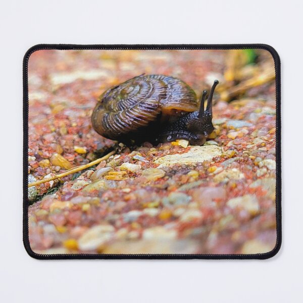 Item preview, Everyone is on their own journey  designed and sold by Lunar Bound Imagery .