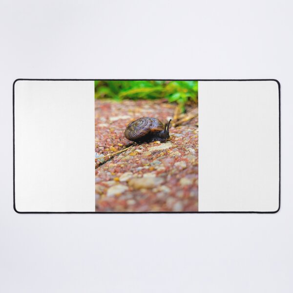 Item preview, Everyone is on their own journey designed and sold by Lunar Bound Imagery .