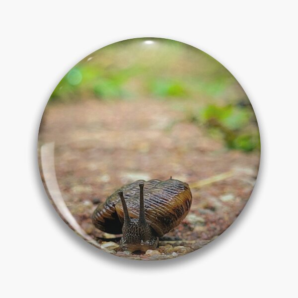 Item preview, Snail traveling through the rain designed and sold by Lunar Bound Imagery .