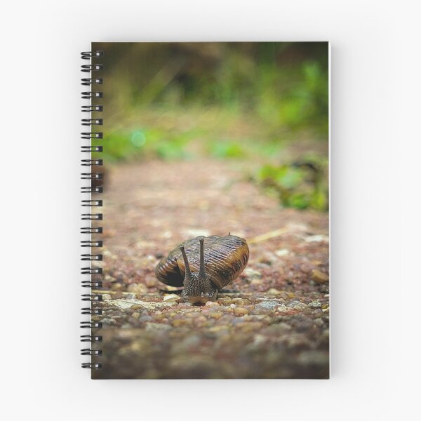 Item preview, Snail traveling through the rain designed and sold by Lunar Bound Imagery .
