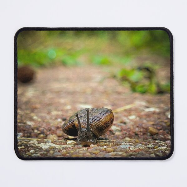 Item preview, Snail traveling through the rain designed and sold by Lunar Bound Imagery .